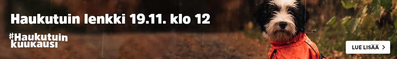 Haukutuin lenkki 19.11. klo 12