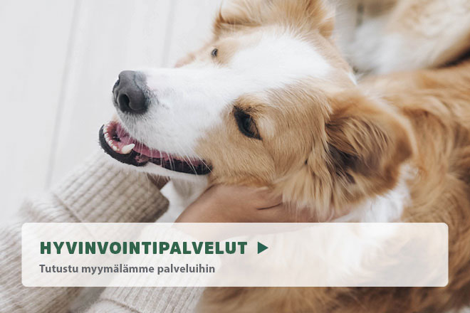 Tutustu Ylivieskan hyvinvointipalveluihin