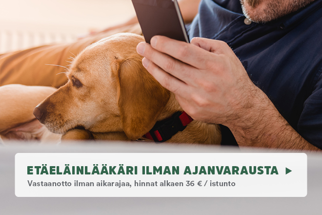 Musti ja Mirri etäeläinlääkäri