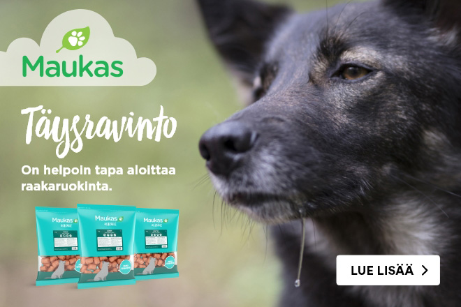 Koiran raakaruokinta - Kotimaiset Maukas-täysravinnot koirallesi!